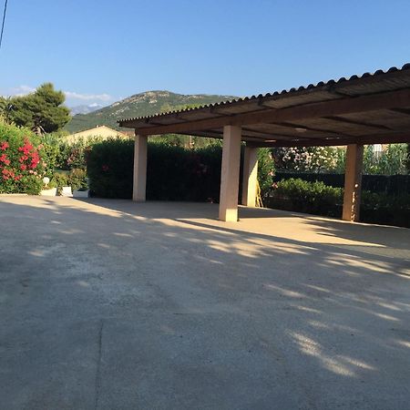 Residence Villa Branda Calvi Kültér fotó