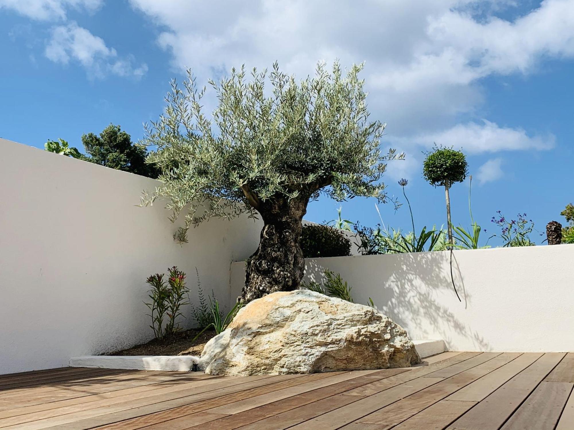 Residence Villa Branda Calvi Kültér fotó